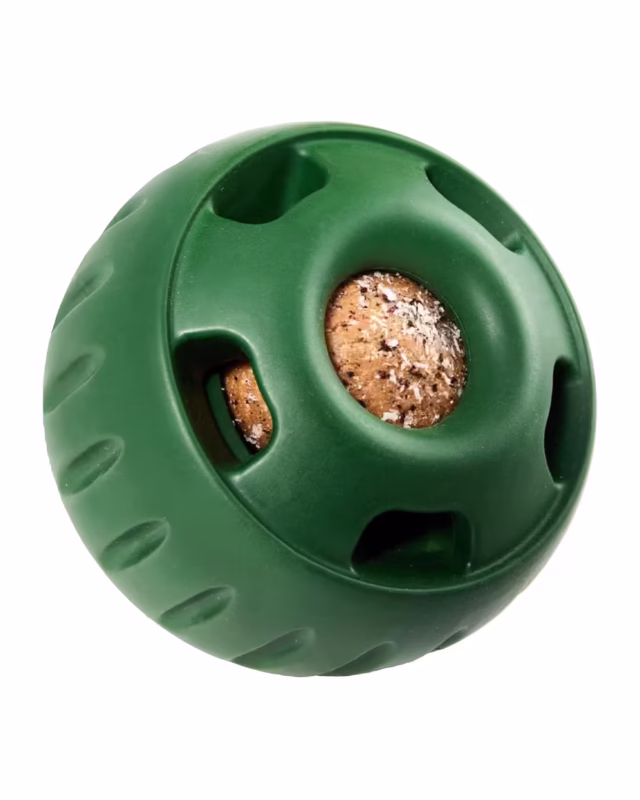 Batpig Ball Frenchie Food Toy