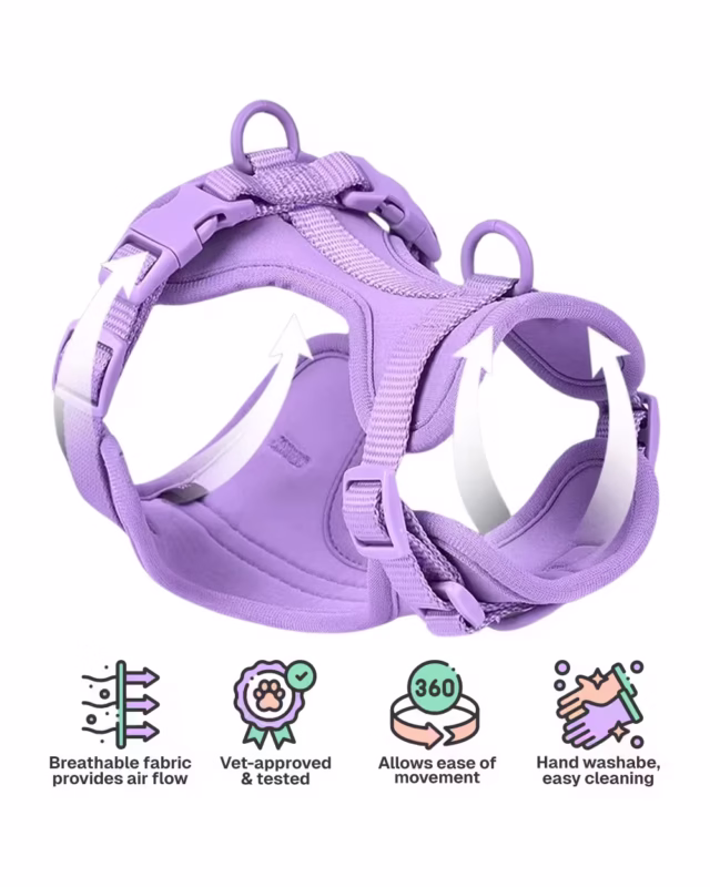 Biothane Waterproof Frenchie Harness