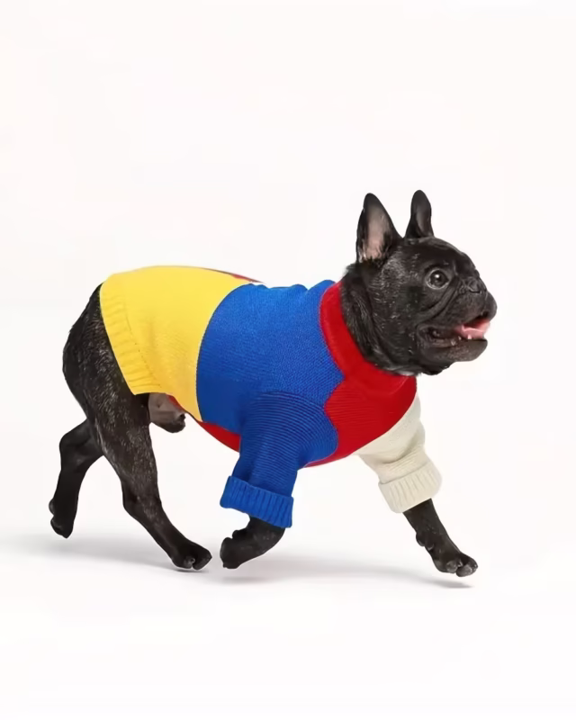 ChunkLoom French Bulldog Jumper