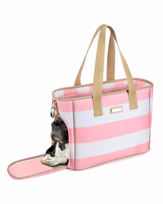 Expandable Modish French Bulldog Carrier