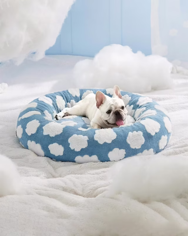 Cream French bulldog laying in Fluffy Clouds Round Frenchie Bed surrounded by clouds