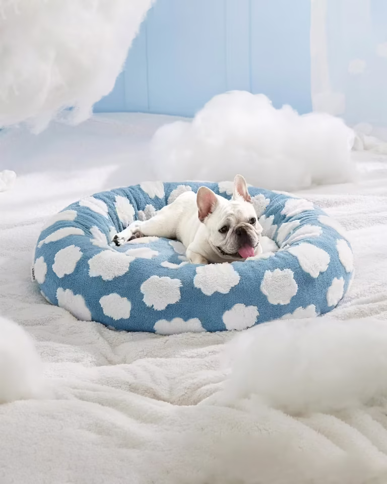 Cream French bulldog laying in Fluffy Clouds Round Frenchie Bed surrounded by clouds