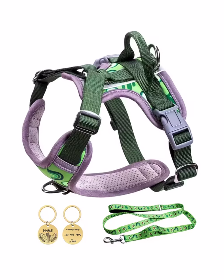 Mesh Frenchie Vest Harness