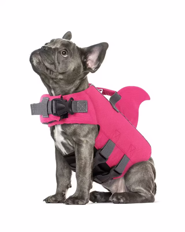 Shark French Bulldog Life Vest