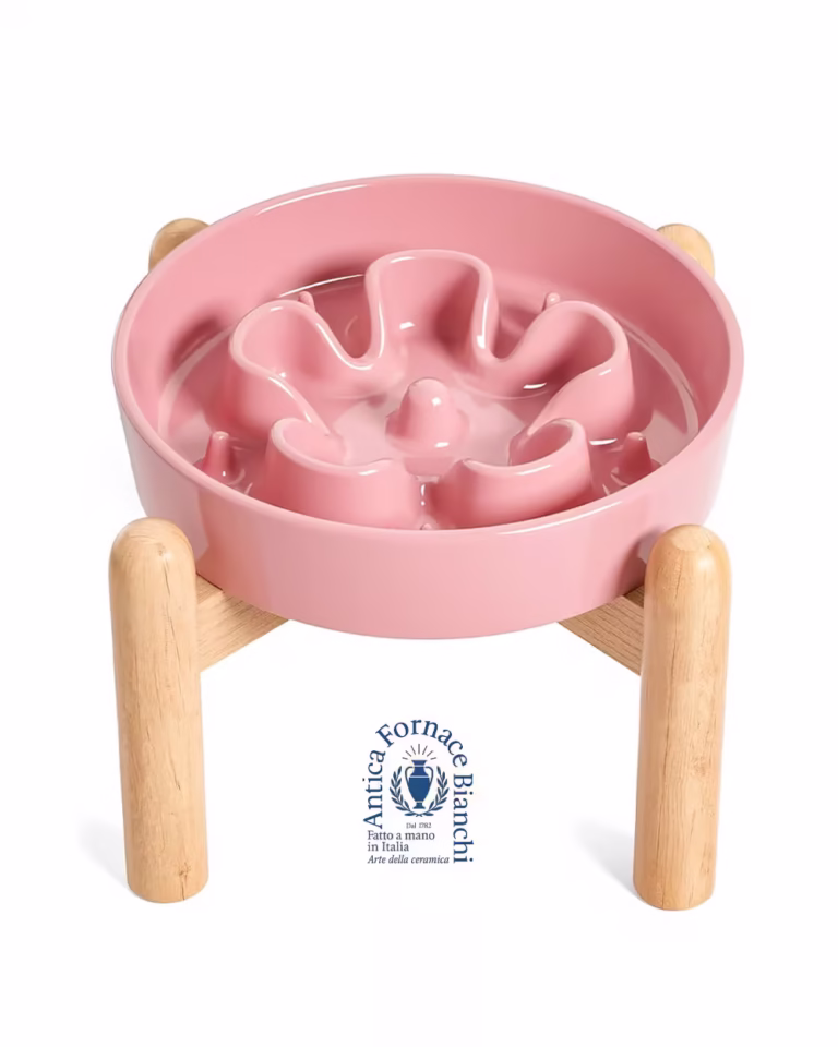 Slow Feeder for French Bulldog