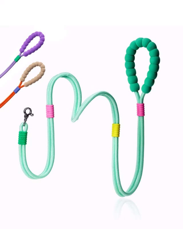 Smart Fashion French Bulldog Leash