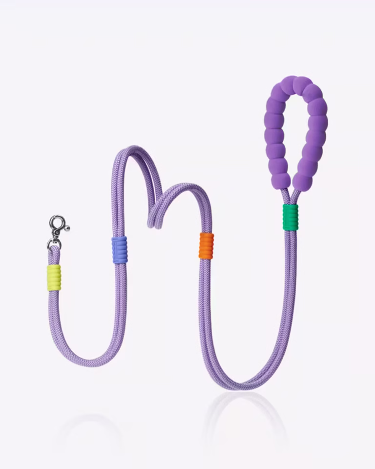 Smart Fashion French Bulldog Leash in purple color