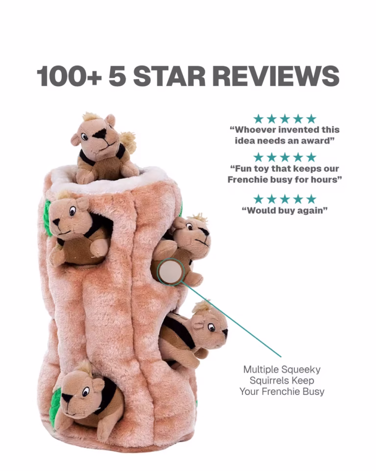 Squirrel Chaser Frenchie Toy product details