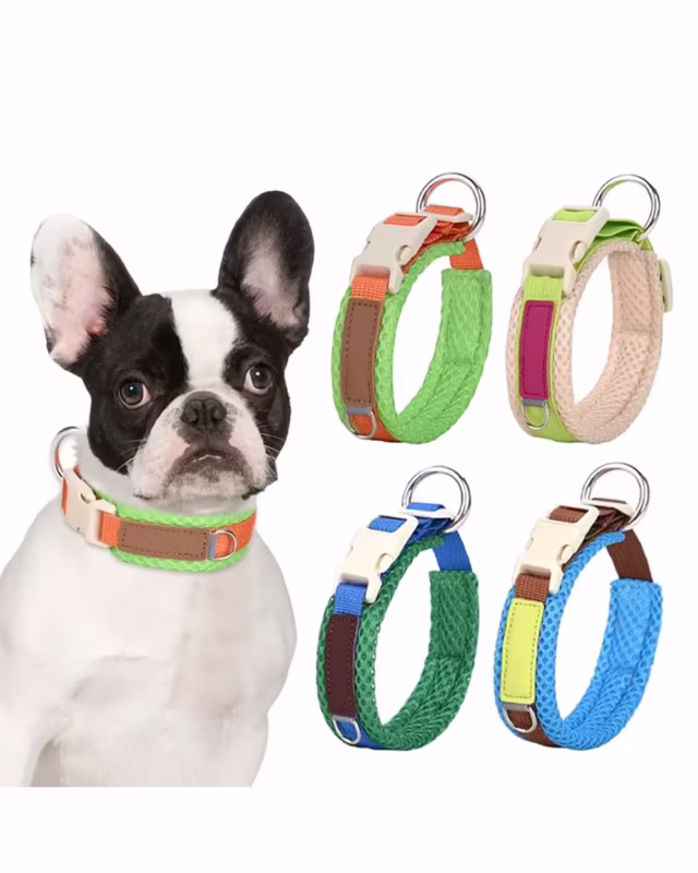 Summer Mesh French Bulldog Collar