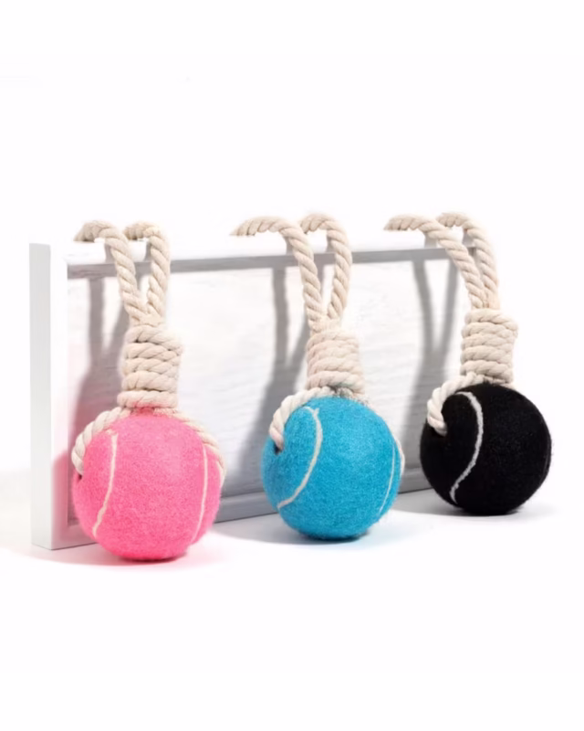 Tug'O'War Frenchie Chew Toy