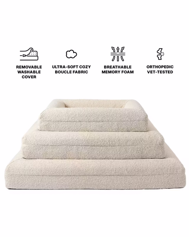 Three Vet-Made Orthopedic Frenchie Beds with product info