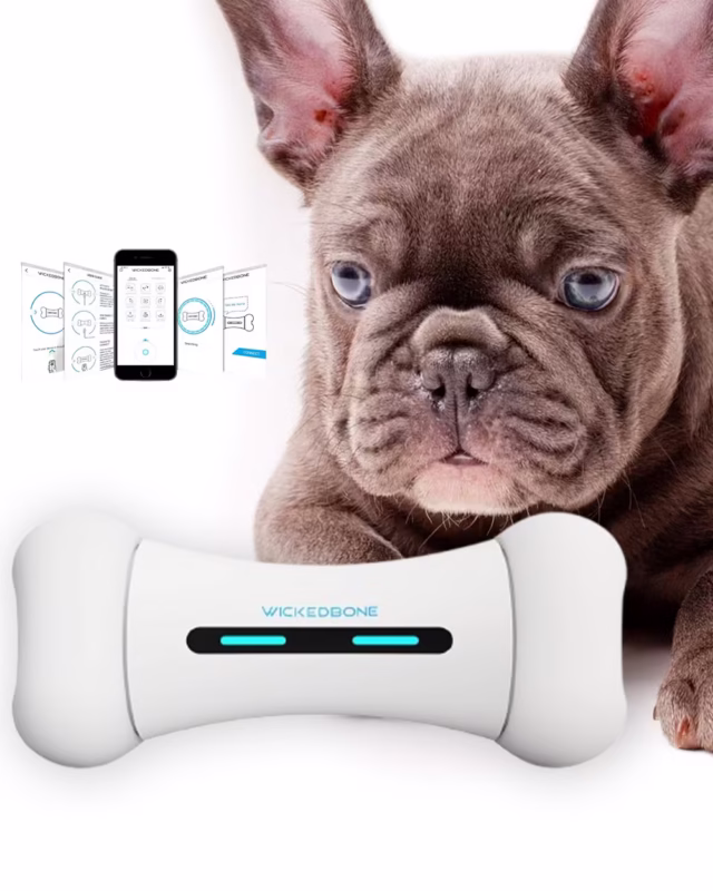 WickedBone Frenchie Dog Smart Toy