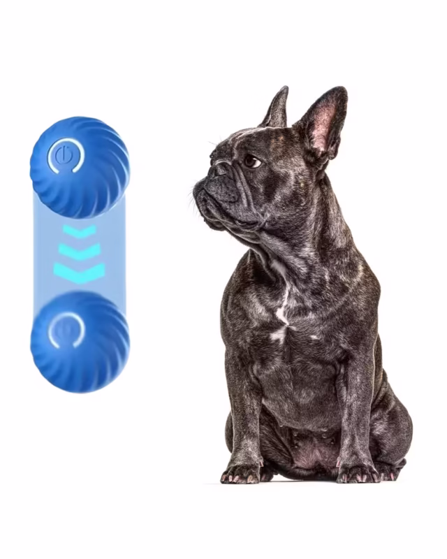 ZoomieBall Frenchie Smart Toy