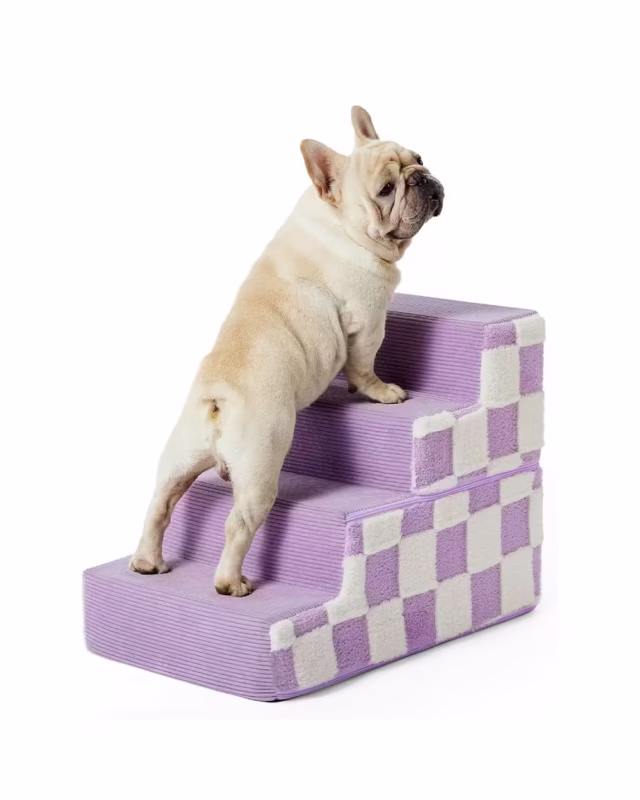 Fluffy Clouds French Bulldog Stairs