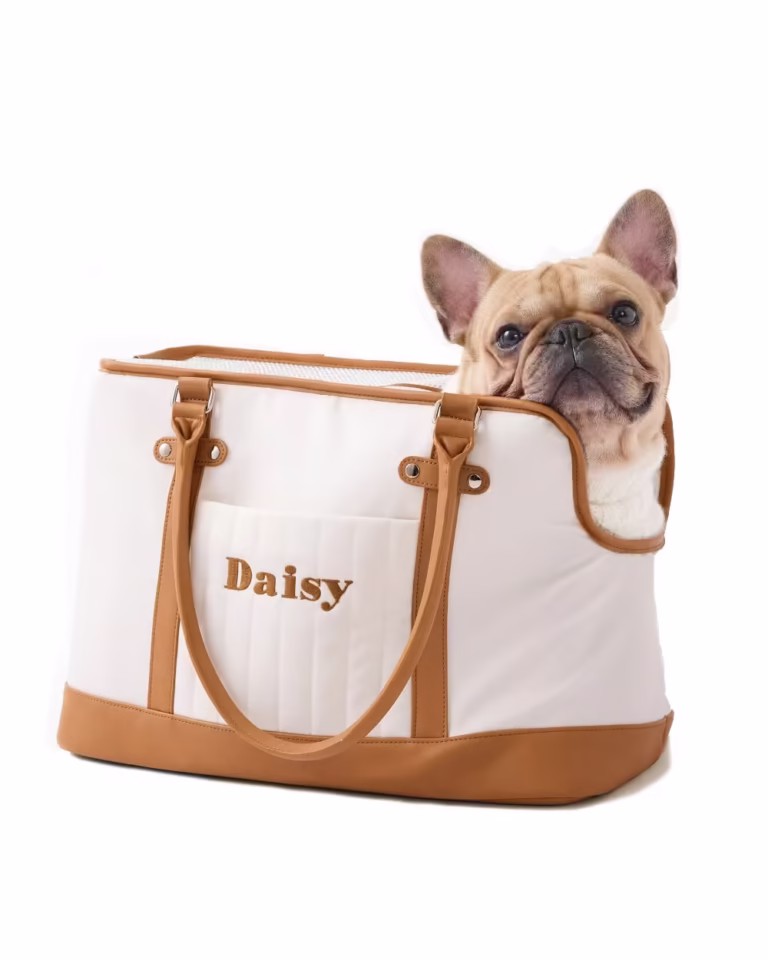 Fawn French bulldog in the Custom Frenchie Tote Carrier against white backgorund