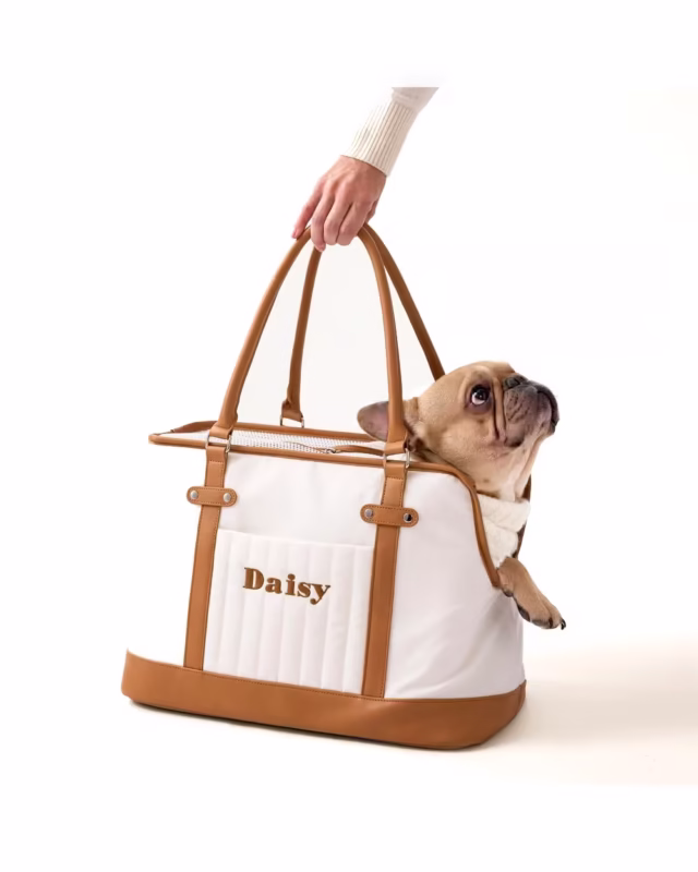 Custom Frenchie Tote Carrier
