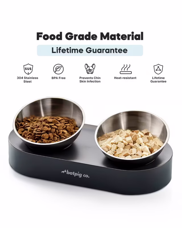 Double-Meal Frenchie Food Bowl