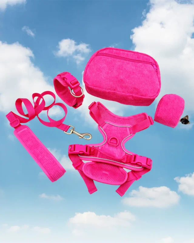 CordiWalk 5-in-1 Dog Walking Set