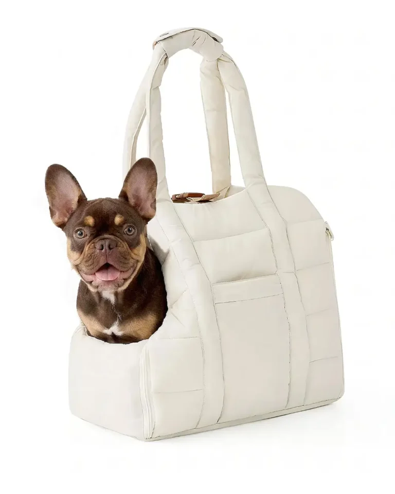 3-in-1 Portable Frenchie Dog Carrier with choco and tan Frenchie in it