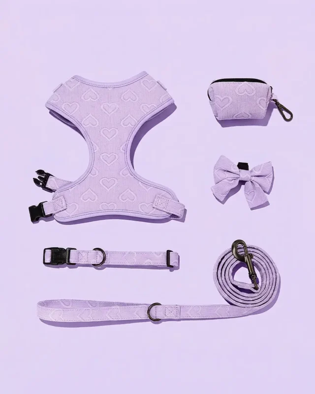 In-Love Jacquard Frenchie Harness Set