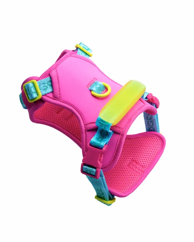 JellyWalk French Bulldog Harness Set