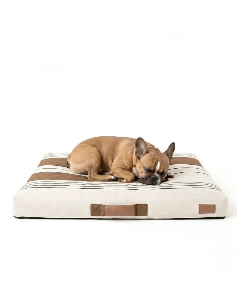 Frenchie sleeps on the NapMat Basque French Bulldog Bed in beige color