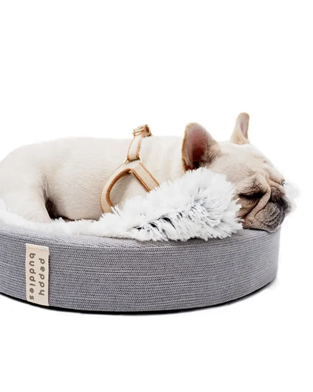 Orthopedic Anatomical Frenchie Dog Bed with white French bulldog sleeping in it