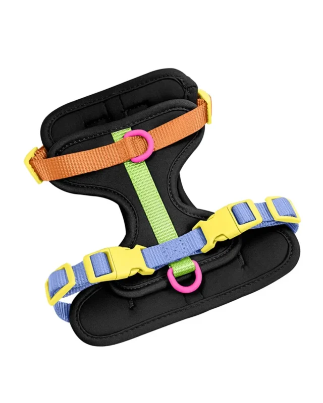 Spring Step-In Frenchie Harness