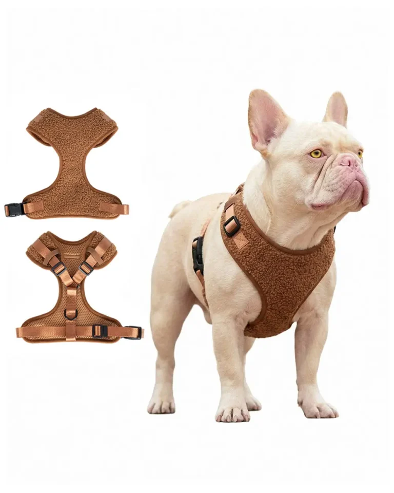 French bulldog wearing Teddy Fleece Frenchie Harness