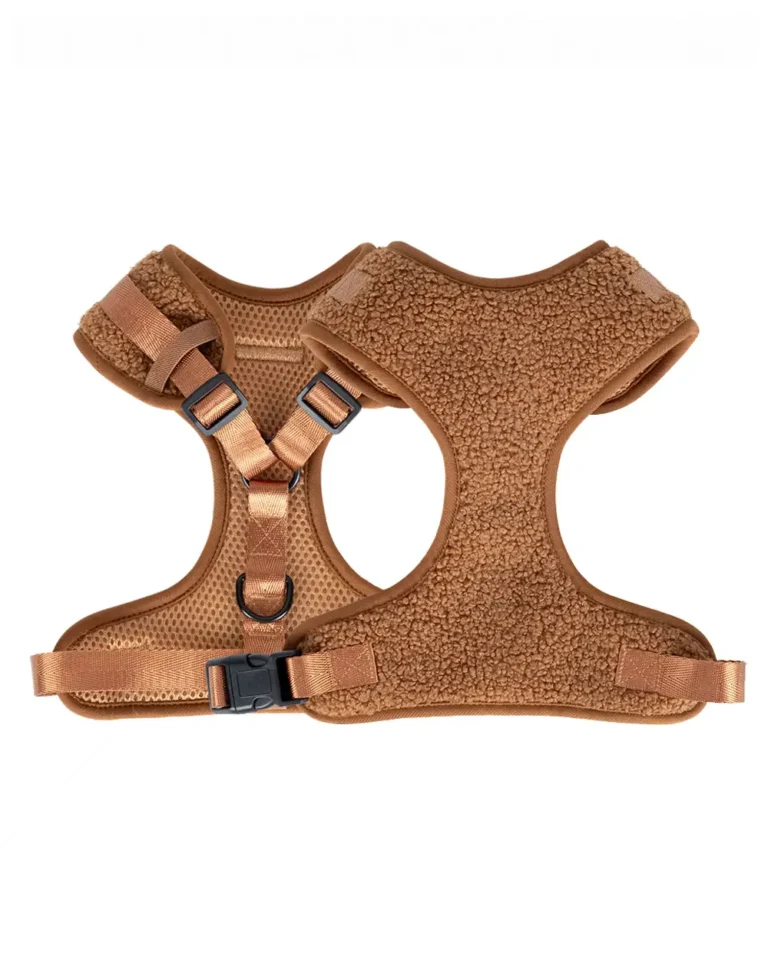 Teddy Fleece Frenchie Harness - front and back side