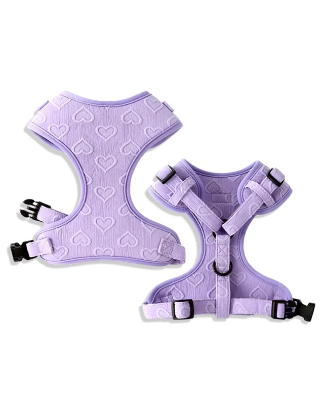 Front and back side of the In-Love Jacquard Frenchie Harness Set in Lavender color