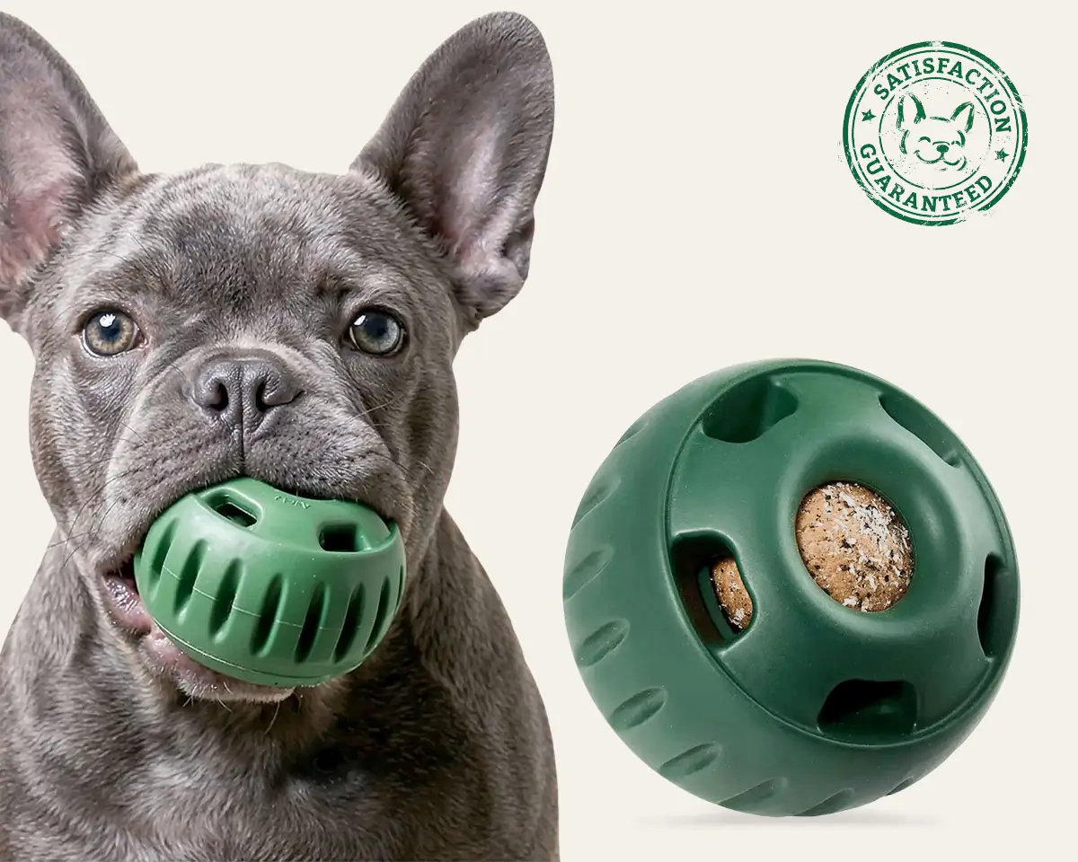 Batpig Ball Frenchie Food Toy — best enrichment toy for French Bulldogs