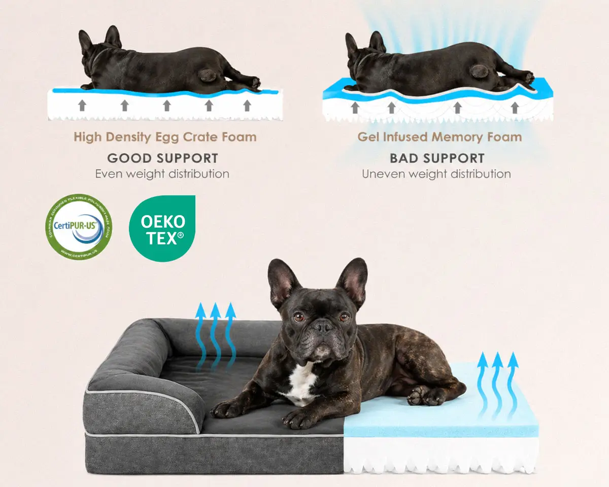Best Orthopedic Dog Bed For Ivdd