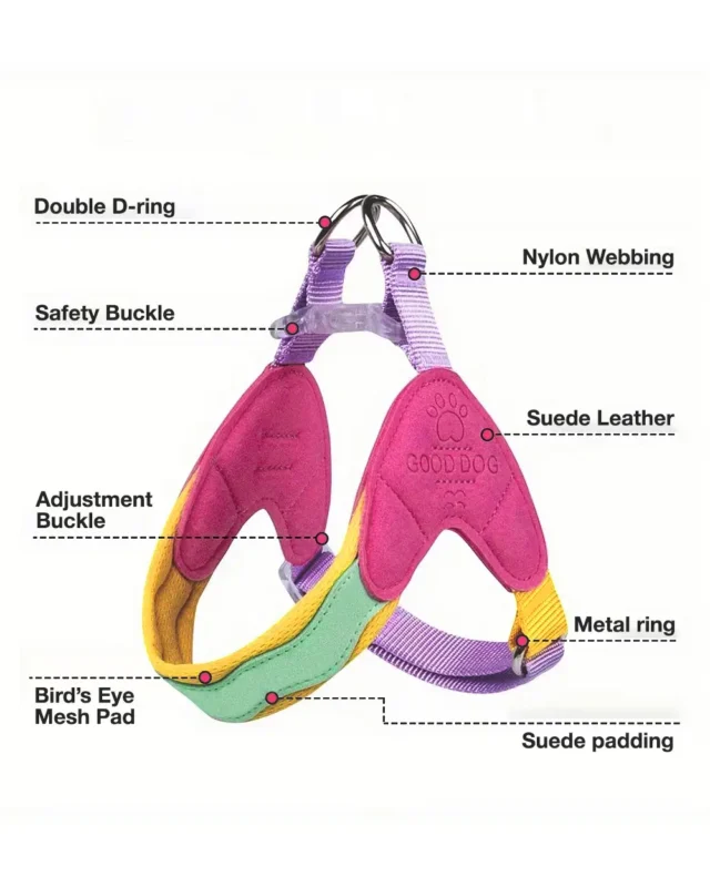 Bisou Step-In Frenchie Harness product details explainer