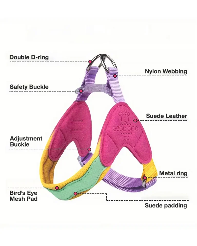 Bisou Step-In Frenchie Harness product details explainer