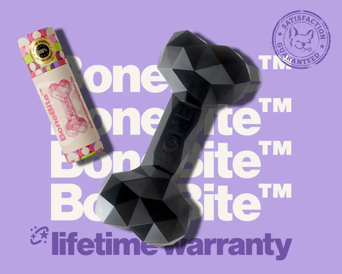 BoneBite indestructible dog chew toy for French Bulldogs — lifetime warranty, durable rubber bone