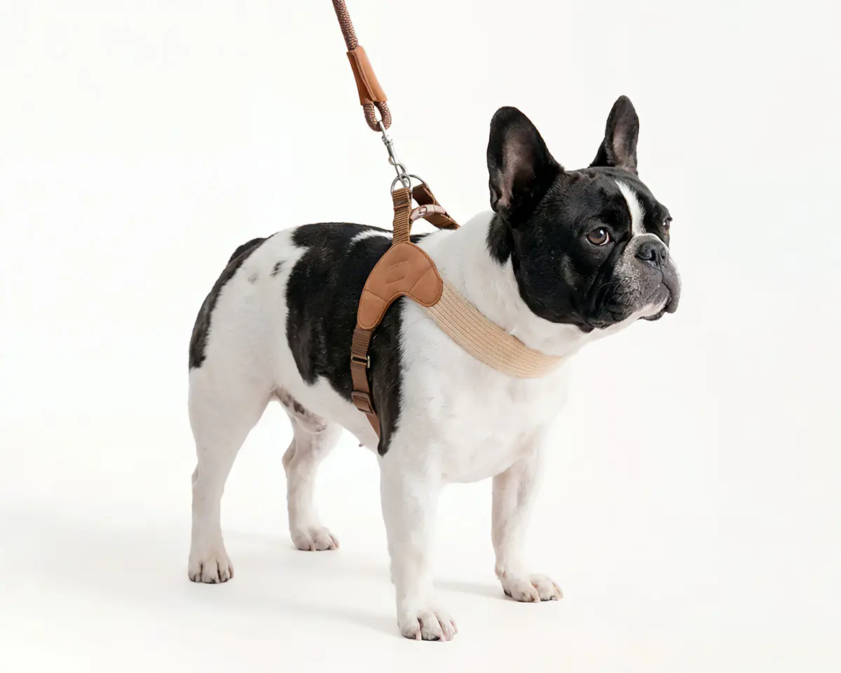 CloudHug Dual-Clip French Bulldog no-pull harness
