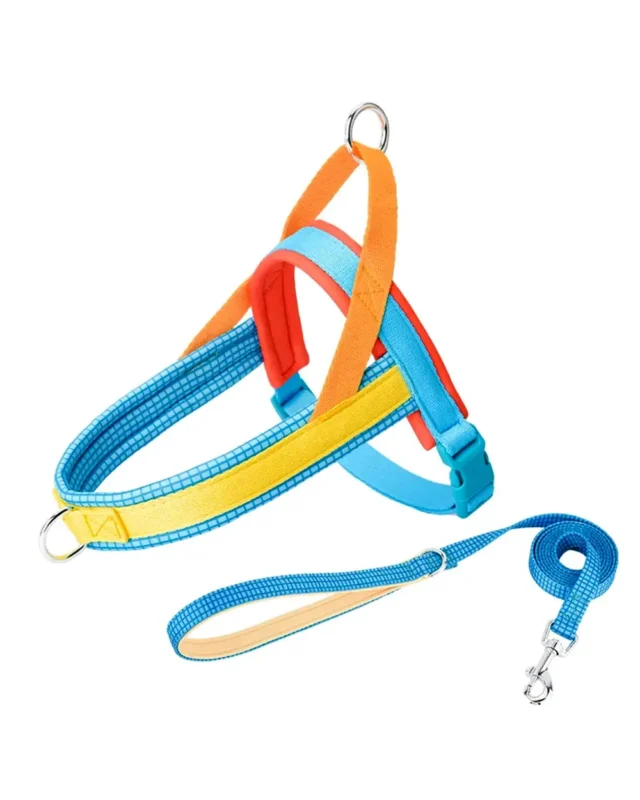 Eclat French Bulldog Harness With Handle in blue and yellow colors