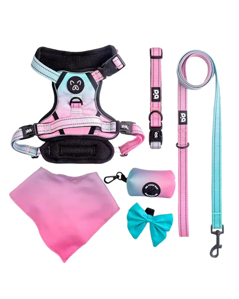 Prisme French Bulldog Iridescent Harness