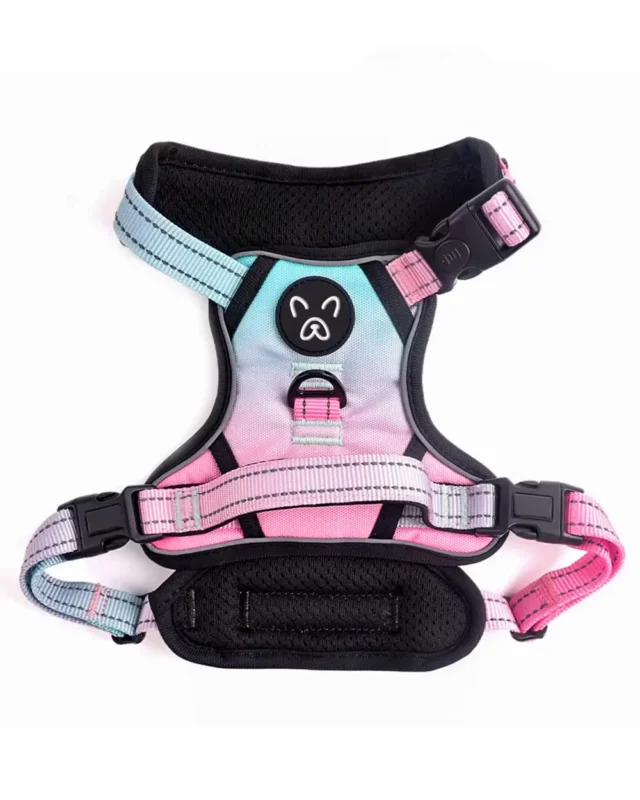 Prisme French Bulldog Iridescent Harness