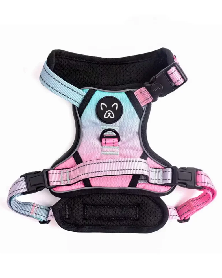 Prisme French Bulldog Iridescent Harness