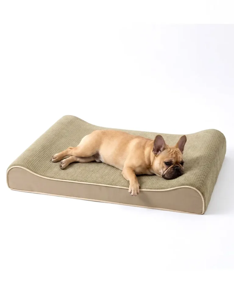 Repos Frenchie Orthopedic Dog Bed