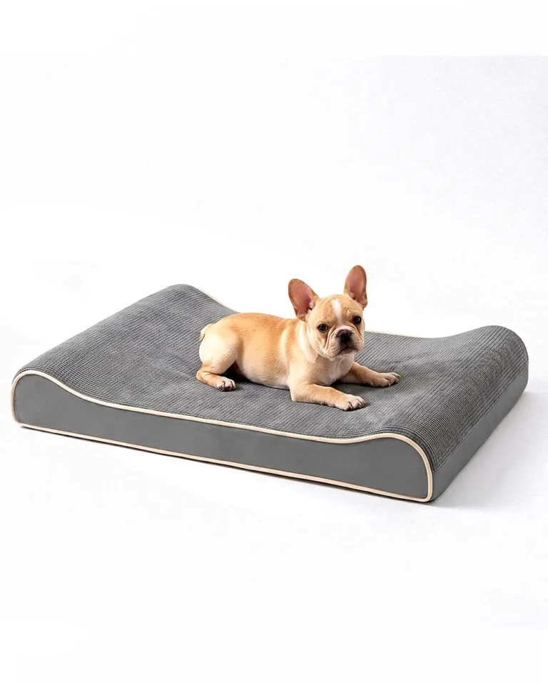 Repos Frenchie Orthopedic Dog Bed in gray color