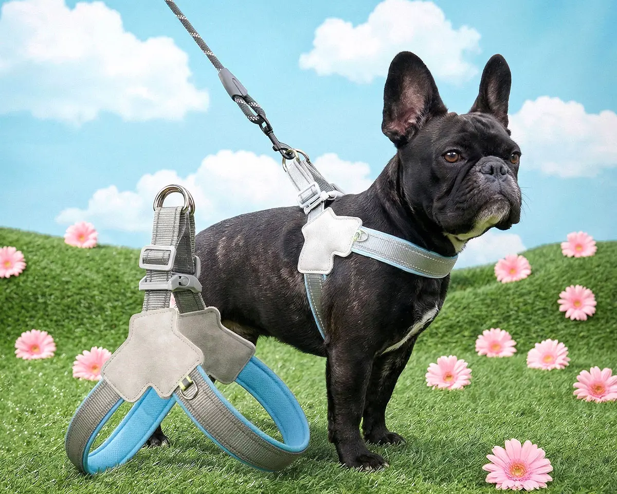 Soft No-Pull Frenchie Harness
