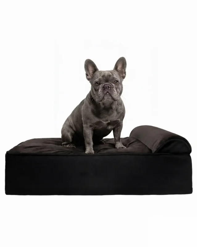Noblesse Frenchie Orthopedic Dog Bed