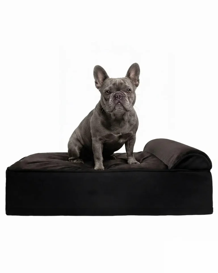Noblesse Frenchie Orthopedic Dog Bed
