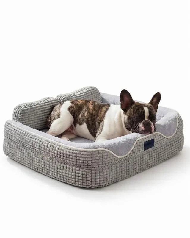 Cadeau French Bulldog Orthopedic Bed