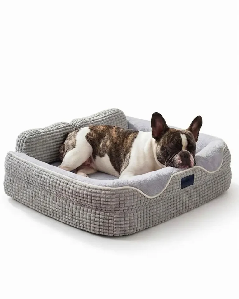 Cadeau French Bulldog Orthopedic Bed