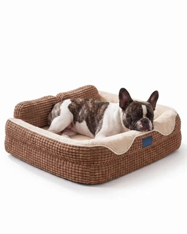 Cadeau French Bulldog Orthopedic Bed in brown color