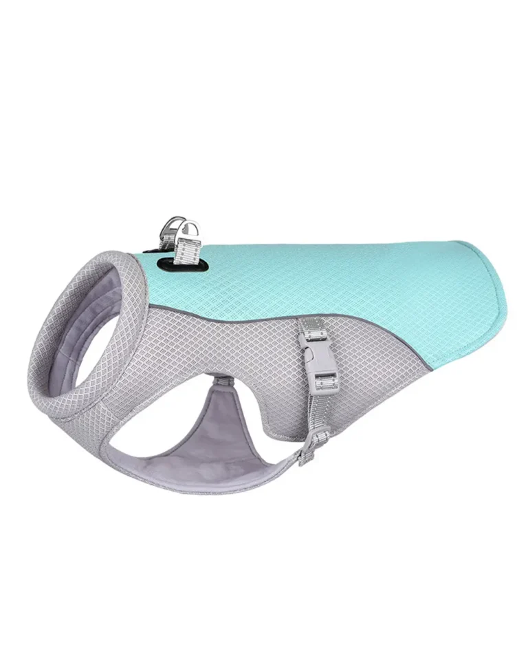 Aéro-Cool Mesh No-Pull Harness in turquoise
